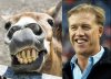 elway-horsehead[1].jpg