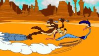 Road runner, coyote.jpg