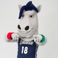 Longwood Lancers mascot.jpg