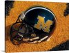 missouri-football-helmet-4192.jpg