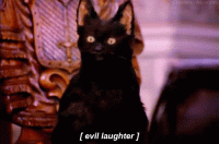 Salem_e9f56c_5540586.gif