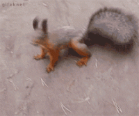 1650976927126.gif