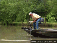 giphy (22).gif