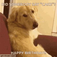 Bday.gif