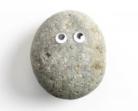 National-Pet-Rock-Day-640x514.jpg