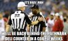 replacement-refs.jpg