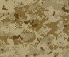 MARPAT-marinedesert.jpg