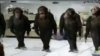 1238512403_dancing_chimps.jpg