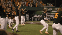 vols gif.gif