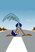 The Roadrunner BEEP BEEP!!.jpeg