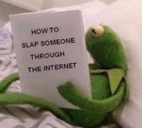 kermit-how-to-slap-someone-through-the-internet-1.jpg