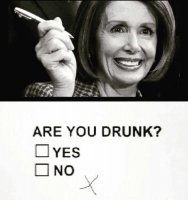 nancy-pelosi-are-you-drunk-check.jpg