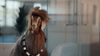 giphy (69).gif