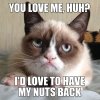 funny_grumpy_cat_meme_selection_640_08.jpg