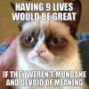 Grumpy-cat4.jpg