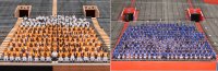 TN-FL Team Pic Comparison.jpg