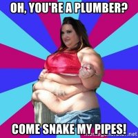 oh-youre-a-plumber-come-snake-my-pipes.jpg