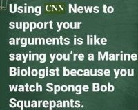 sponge bob squarepants.jpg