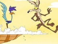 The 9 unbreakable rules of the Wile E_ Coyote_Road Runner universe.jpeg