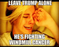 thumb_leave-trump-alone-hes-fighting-windmill-cancer-47930622.png