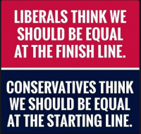 liberals vs conservatives.png