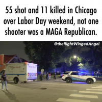 chicago 11 killed no maga republicans.png