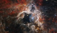 image_11167_1-Tarantula-Nebula.jpg