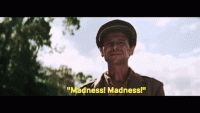 James-Donald-Madness-Bridge-on-the-River-Kwai.gif