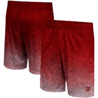 mens-colosseum-maroon-texas-a-and-m-aggies-walter-shorts_pi4661000_altimages_ff_4661542-e93e80...jpg