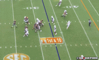 vols.0.gif