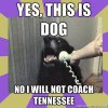 Dog will not coach TN.jpg