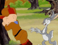 looney-tunes-elmer.gif