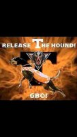 Smokey_release the Hound.jpg