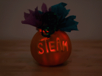 STEAM_Pumpkin-1.gif