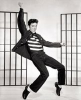 Elvis_Presley_Jailhouse_Rock.jpg