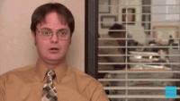 the-office-dwight-schrute (1).gif