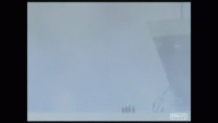 20221119_173126.gif