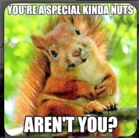 Nuts is you.jpg