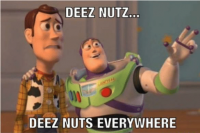 deez-nutz-deez-nuts-everywhere-funny-14732671.png