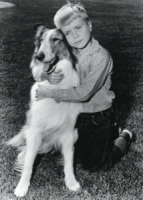 Lassie-and-Timmy-214x300-1-214x300-1.png