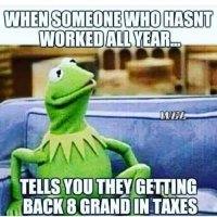 kermit-havent-worked-all-year-get-back-8-grand-taxes.jpg