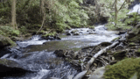 creek-flowing-water.gif