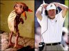 Cocks Spurrier Dobby 1.jpg