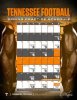 Vols spring scedule.jpg