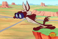 Confused Wile E Coyote GIF by Looney Tunes - Find & Share on GIPHY.gif