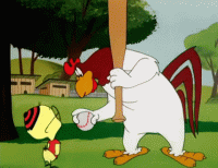 foghorn leghorn gifs - Google Search.gif