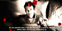 American Beauty 3.gif