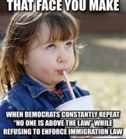 democrat hypocrisy and laws.jpg