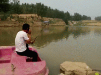 8+Funny+Fishing+Gif+Images_gif (274×203).gif