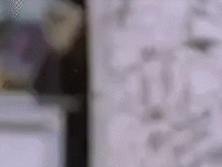 3E53C526-51C3-44FC-AA3A-87D03C757C6C.gif